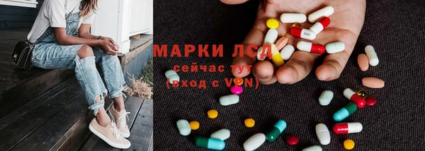 ECSTASY Богданович